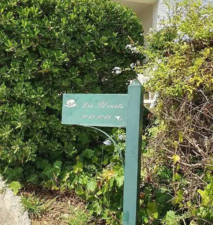 Les Bleuets Vue Mer 