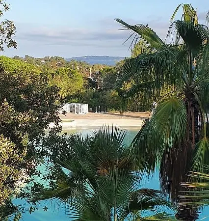 Les Bleuets Vue Mer 
